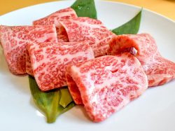 肉匠 雪月花 甲府向町店 甲府 焼肉