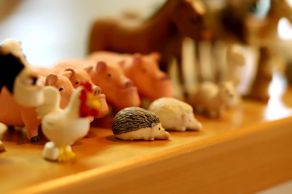 cafe cocochi 写真10