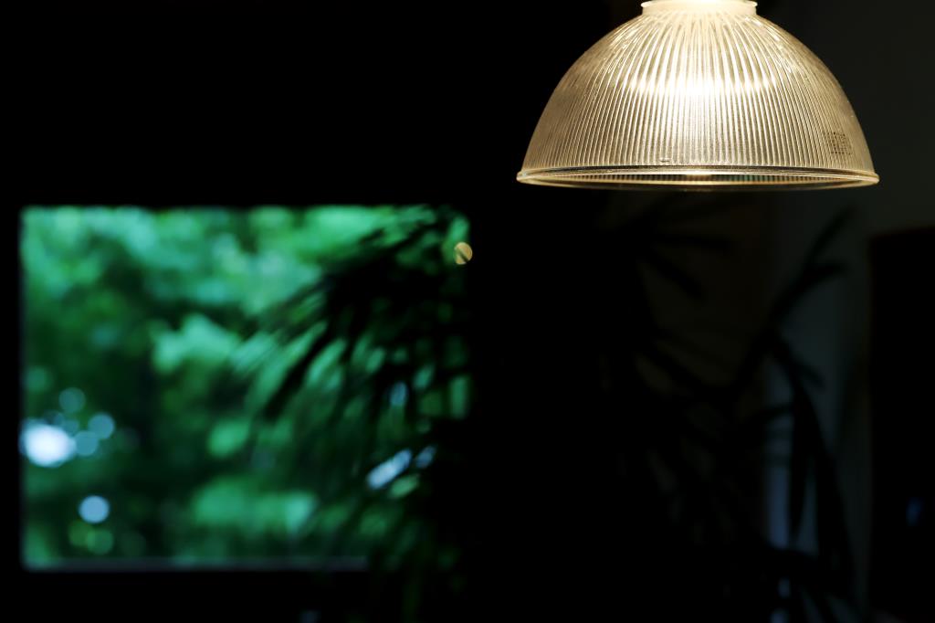 cafe cocochi 写真19
