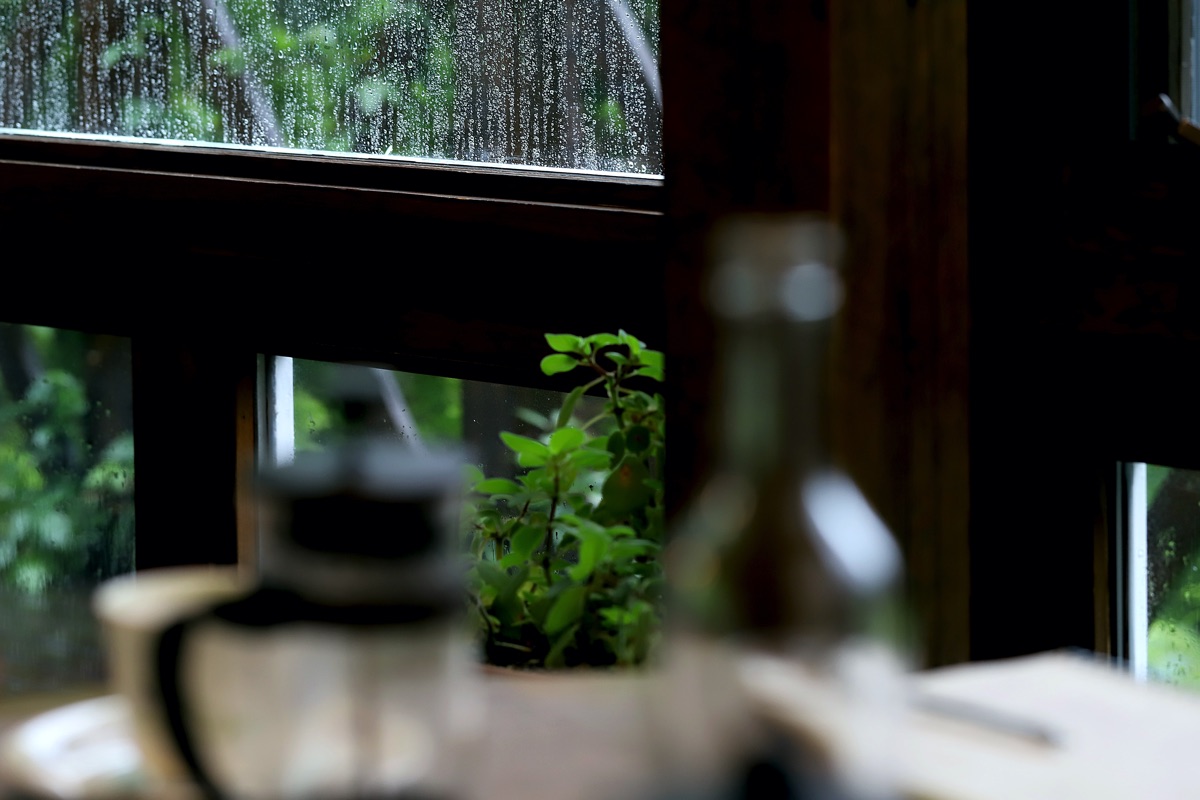 cafe cocochi 写真2