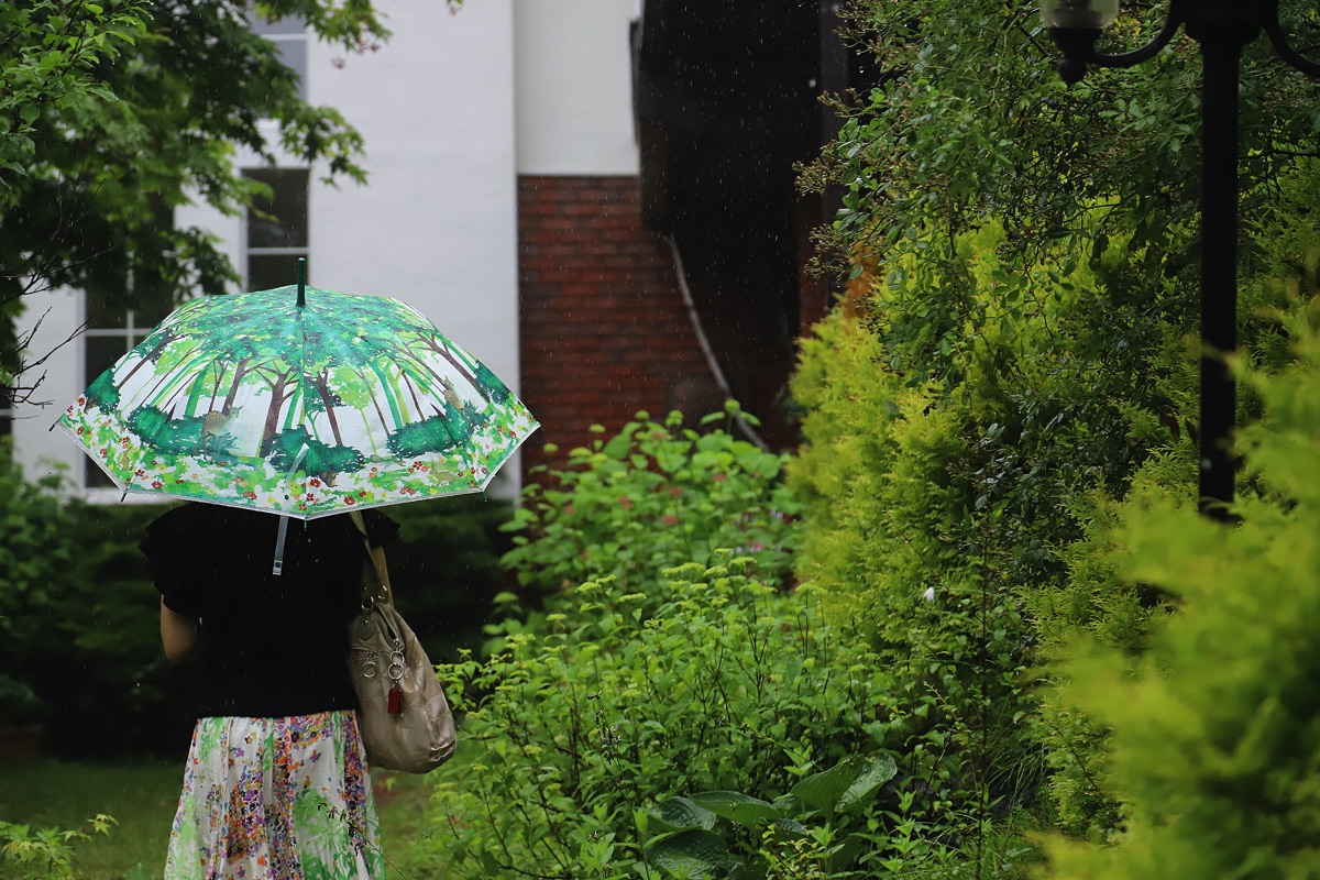 cafe cocochi 写真5