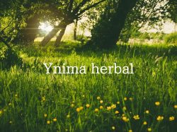 YnimaHerbal