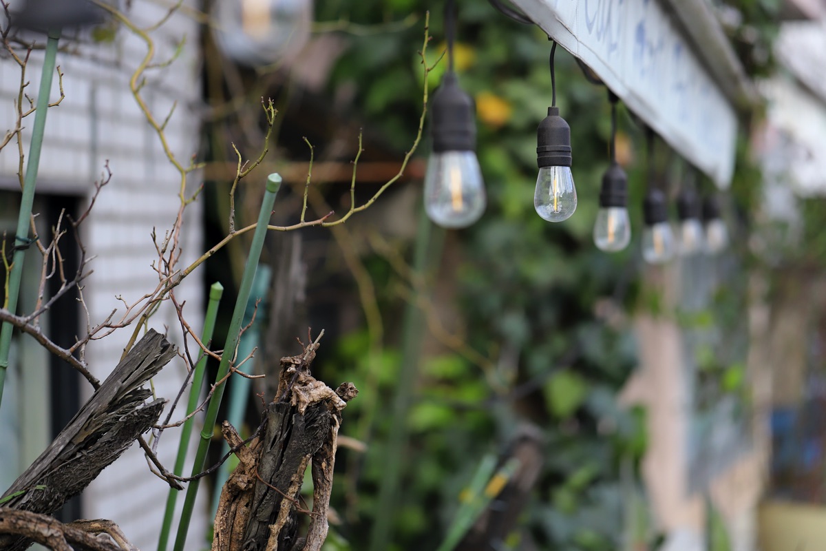 KuRu 写真12