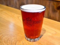 CRAFT HOP STAND