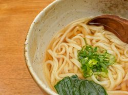 手打ちうどん ほたる 都留市 そばうどん