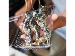 北杜市 フィッシングエリアやま里 釣り堀 バーベキュー 1