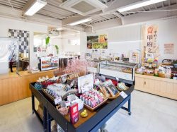 甲州地どり市場 甲府 お土産