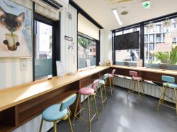 無双タピオカ 甲府駅南口店 甲府 スイーツ