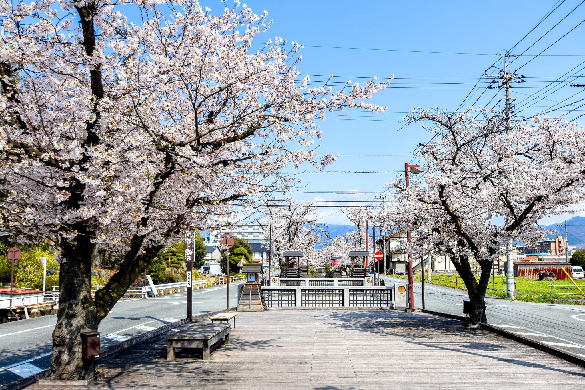 石和温泉さくら通りの桜 写真1