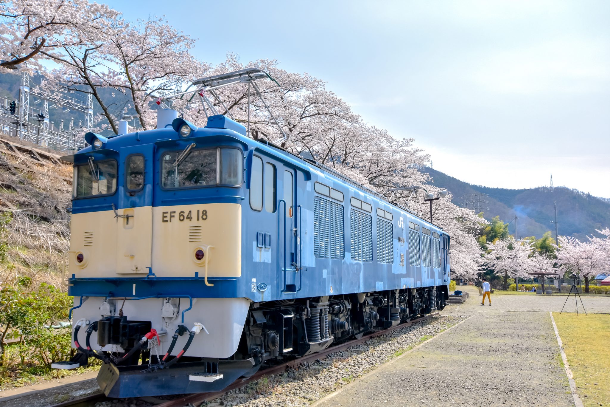勝沼ぶどう郷駅 甚六桜