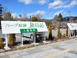 ハーブ庭園旅日記 富士河口湖庭園