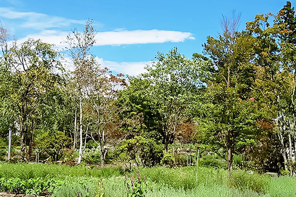 ハーブ庭園旅日記 富士河口湖庭園 富士河口湖町 テーマパーク