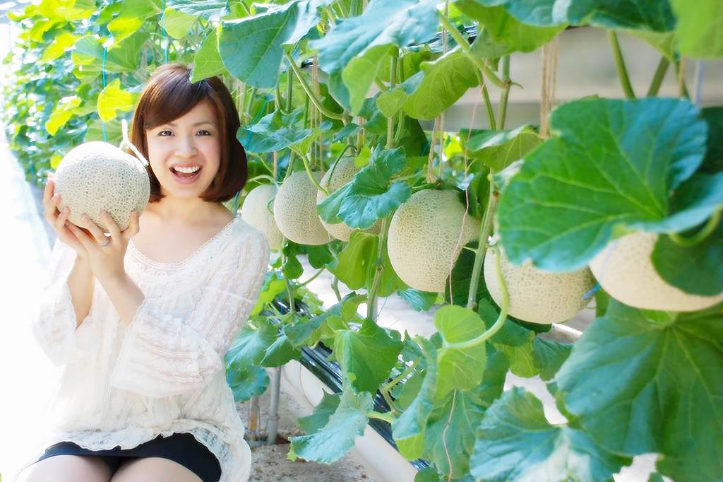山梨FUJIフルーツパーク 笛吹市 観光農園