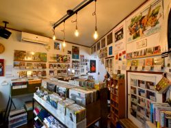 大平 BIGFLAT 山梨市 レコード・雑貨