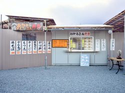 おかあさん弁当 韮崎市 テイクアウト