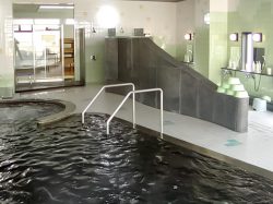 甲州鰍沢温泉 かじかの湯 富士川町 温泉・スパ