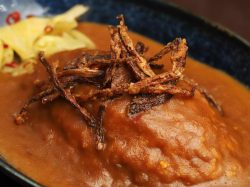 淡路島咖哩 甲斐路 甲府 カレー