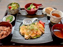医食同源 彩食健味 百屋