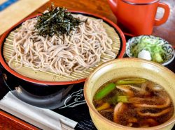 麺処 びわ 忍野村 そば・うどん
