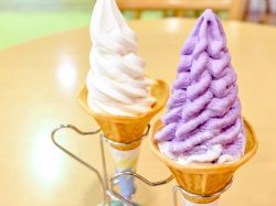 道の駅とよとみソフトクリームコーナー Paulista 中央市 スイーツ