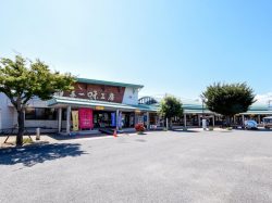 道の駅とよとみソフトクリームコーナー Paulista 中央市 スイーツ