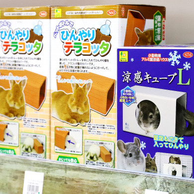 ペットフィールド新平和通り店の店内2