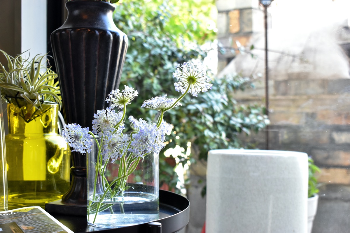 農cafeZENCHO 写真11