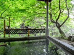 旅館 白龍閣 山梨市 温泉2