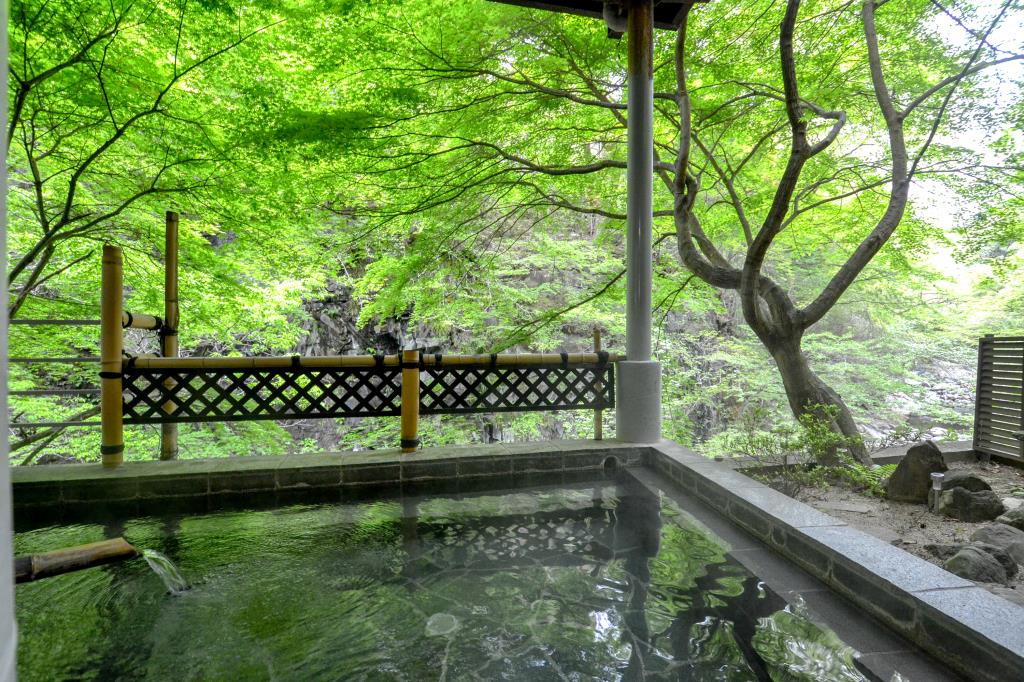 旅館 白龍閣 山梨市 温泉2