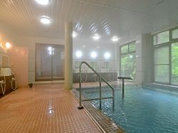 旅館 白龍閣 山梨市 温泉3