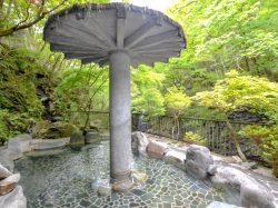 旅館 白龍閣 山梨市 温泉4