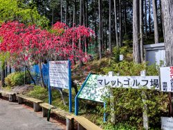 うつぶな公園 身延2