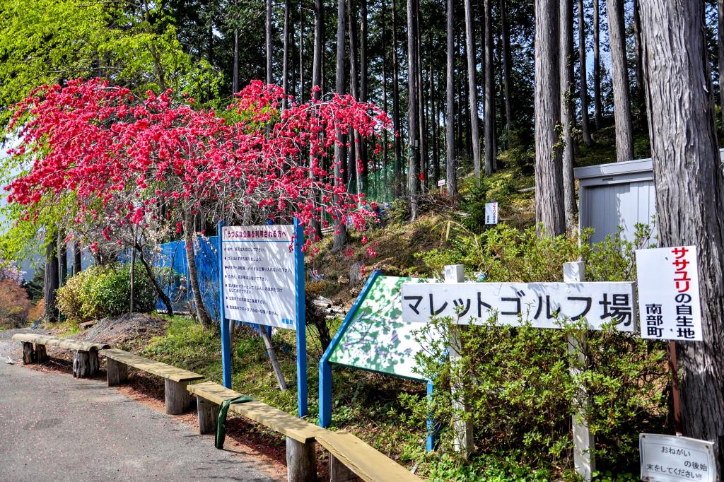 うつぶな公園 身延2