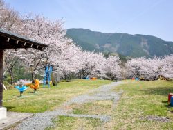 うつぶな公園
