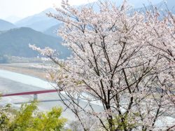 うつぶな公園 身延5