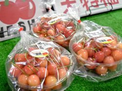 グリーンファーム八代 農産物直売所 2