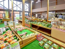 グリーンファーム八代 農産物直売所 5