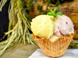 丘の上の小さなジェラテリア ラ・ぺスカ【閉店】
