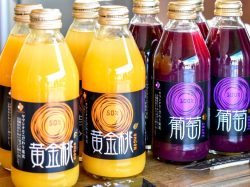 丘の上の小さなジェラテリア　ラ・ぺスカ　山梨市2