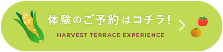 体験のご予約はコチラから！