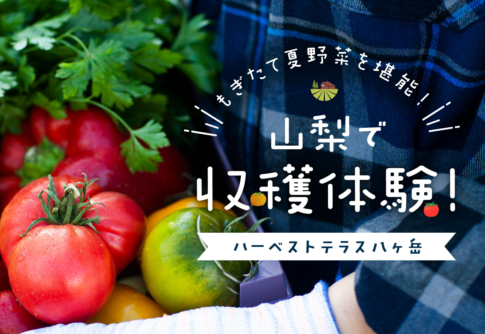 山梨で収穫体験！ハーベストテラス八ヶ岳
