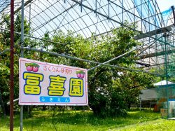 冨喜園