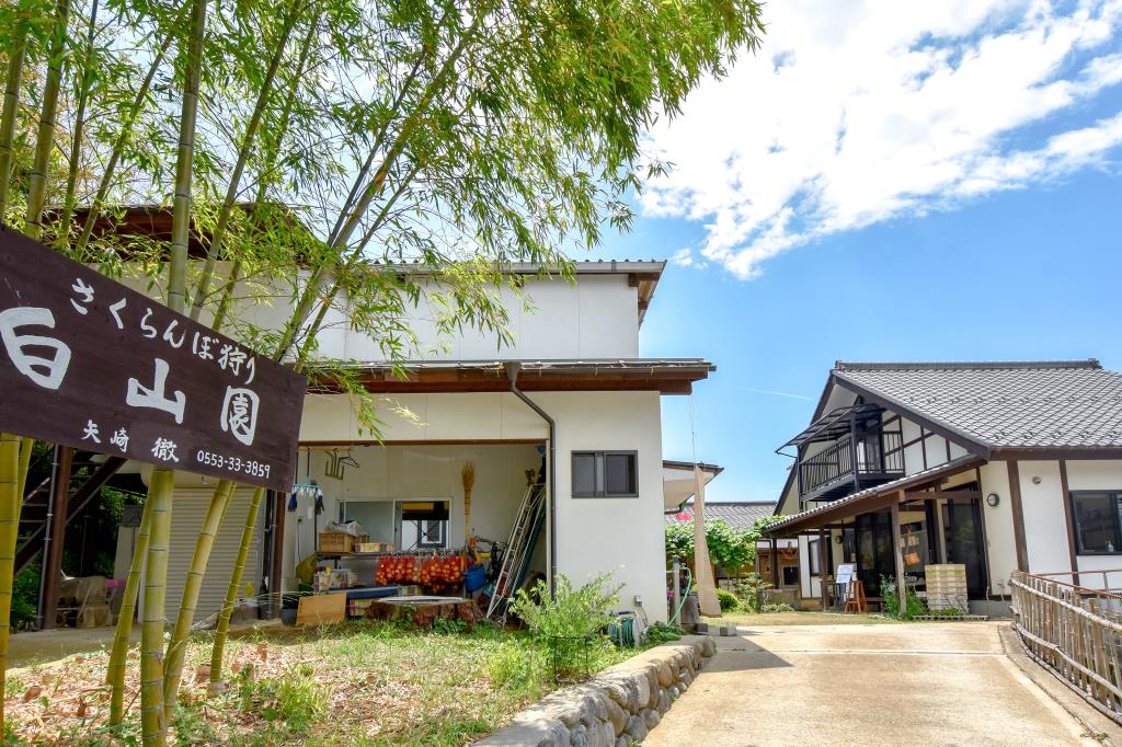 果物農家 白山園