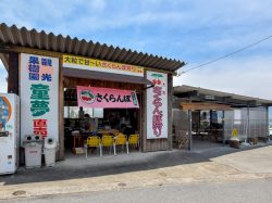 観光果樹園 童夢