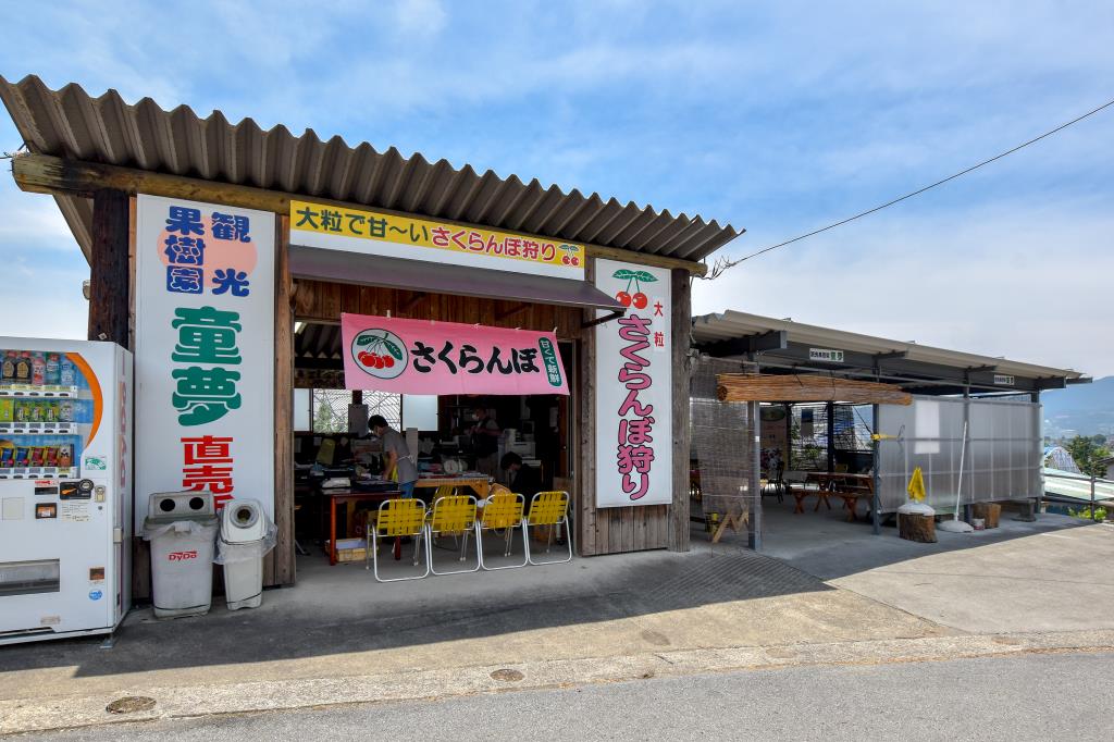 観光果樹園　童夢 甲州市 5