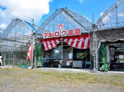 マルロク農園