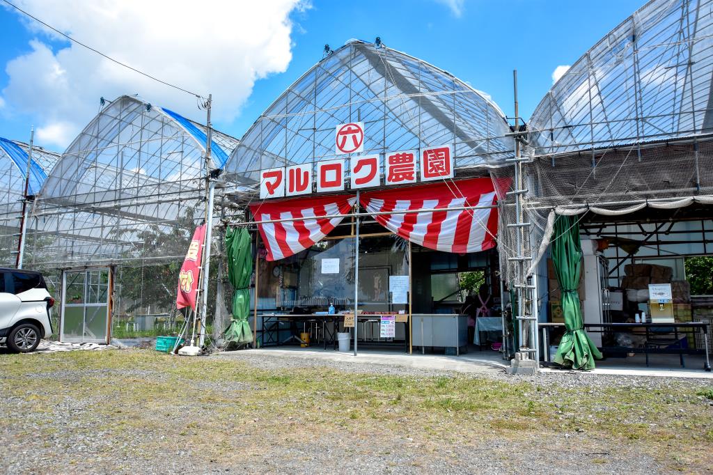 マルロク農園 南アルプス 1