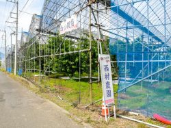 西村農園