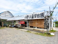 小野洋蘭果樹園