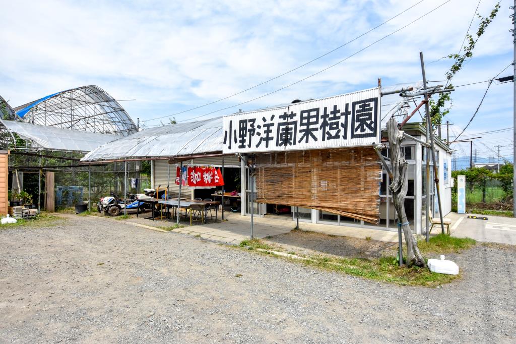 小野洋蘭果樹園　南アルプス5